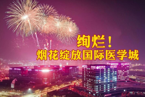 絢爛！煙花綻放國際醫(yī)學(xué)城